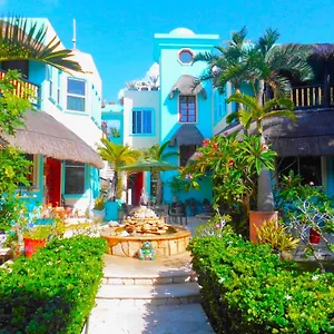Casa Gatos Mexico